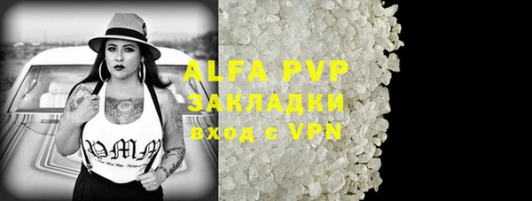 гидра Алексин